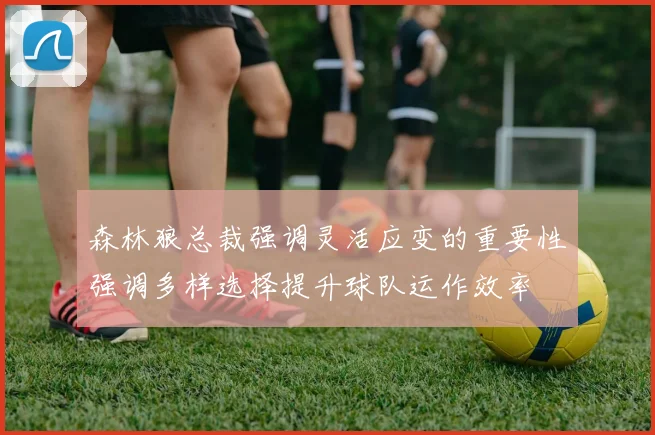 森林狼总裁强调灵活应变的重要性强调多样选择提升球队运作效率